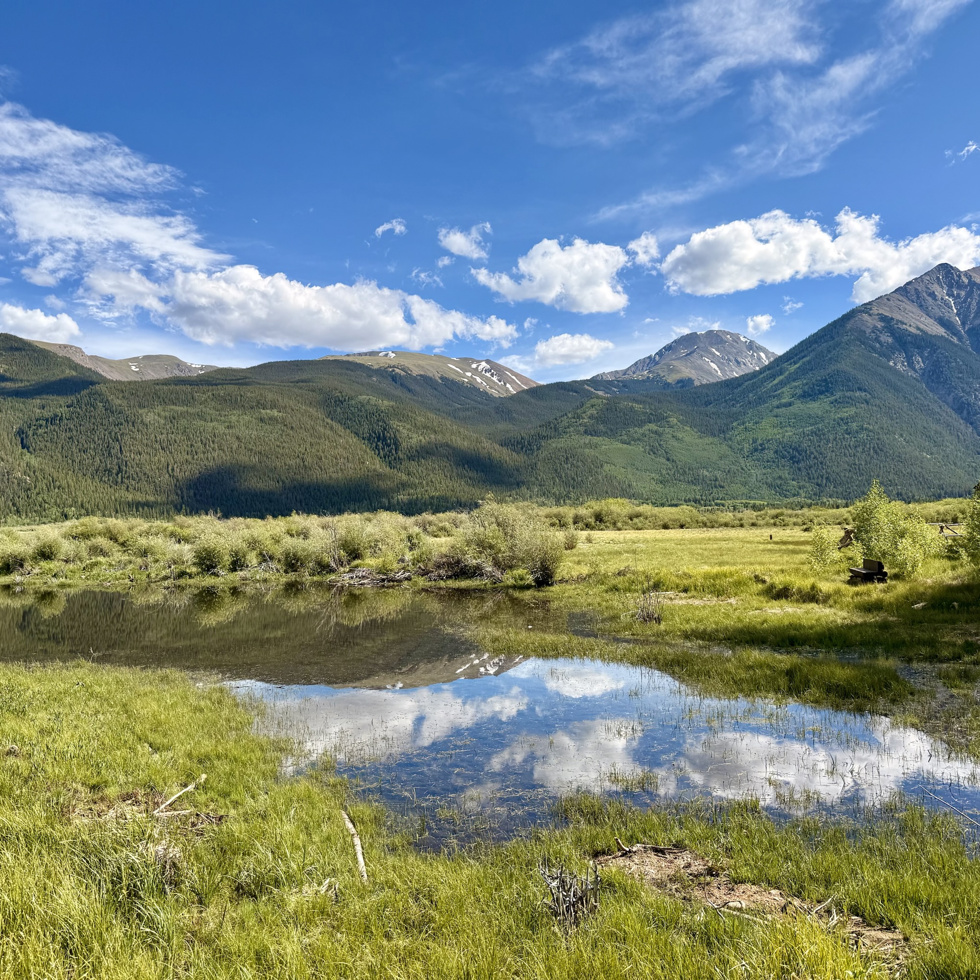 Cloud reflection on pond