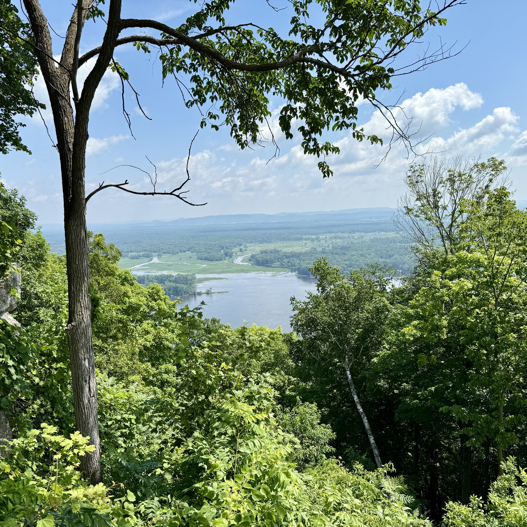 View over Mississippi River